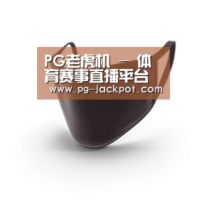 成人布口罩