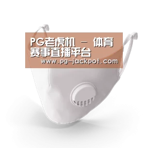 N95 口罩