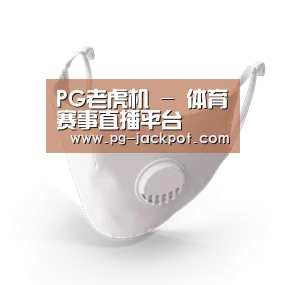 N95 口罩