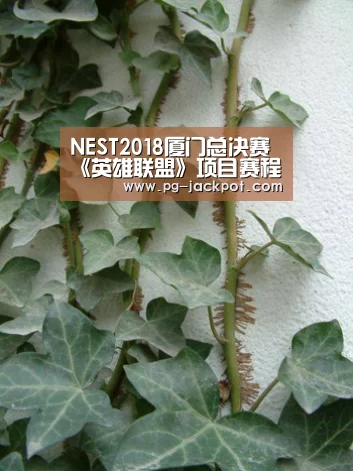 NEST2018厦门总决赛《英雄联盟》项目赛程公布:PG麻将(图2) PG棋牌
