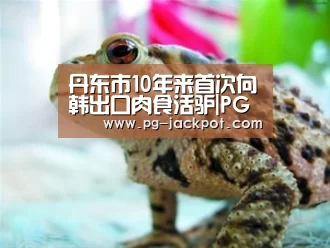 PG棋牌
