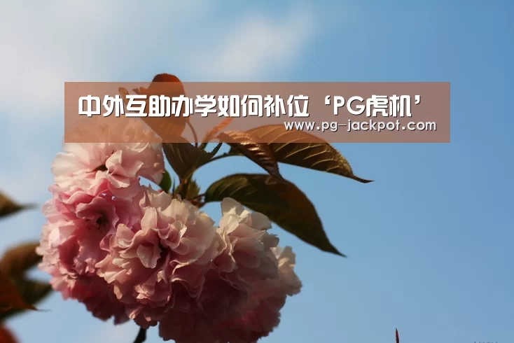PG棋牌