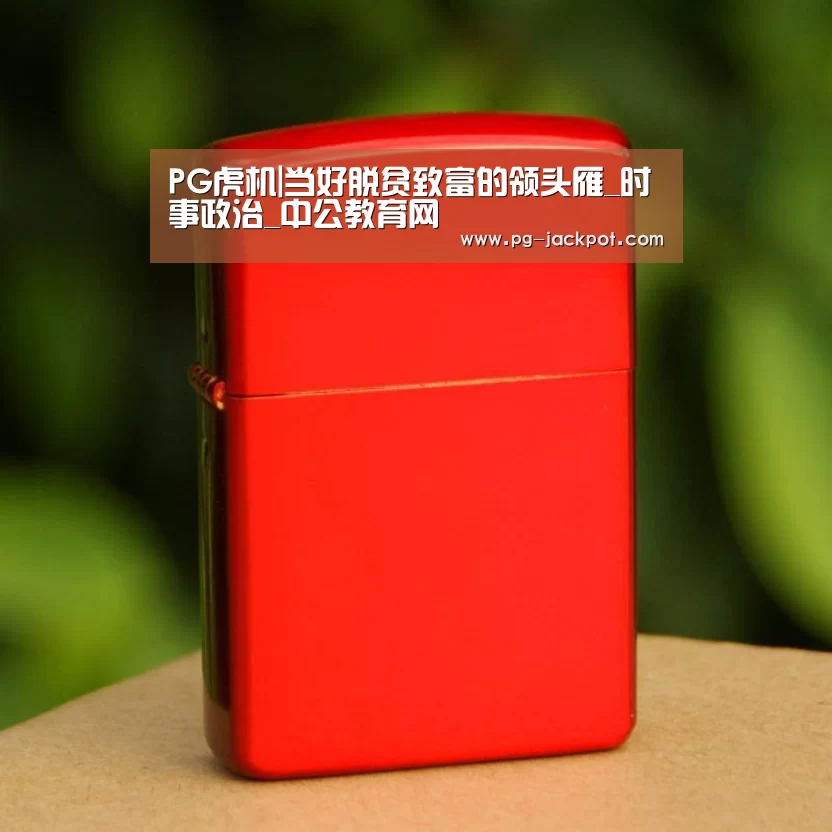 PG虎机|当好脱贫致富的领头雁_时事政治_中公教育网(图1) PG棋牌